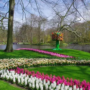 Ineke En John Bed & Breakfast Hoofddorp